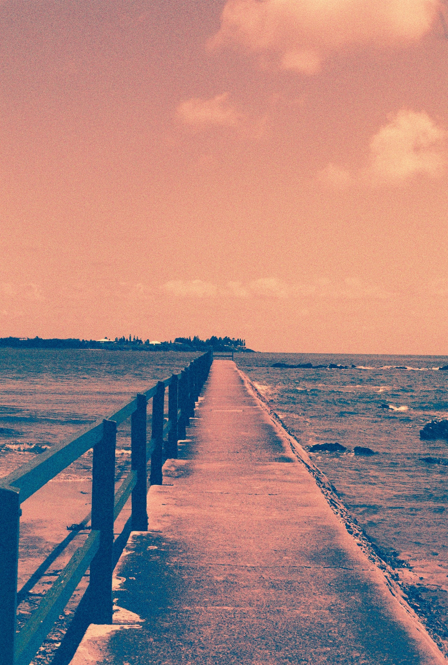 The Funky Bunch Film Bundle