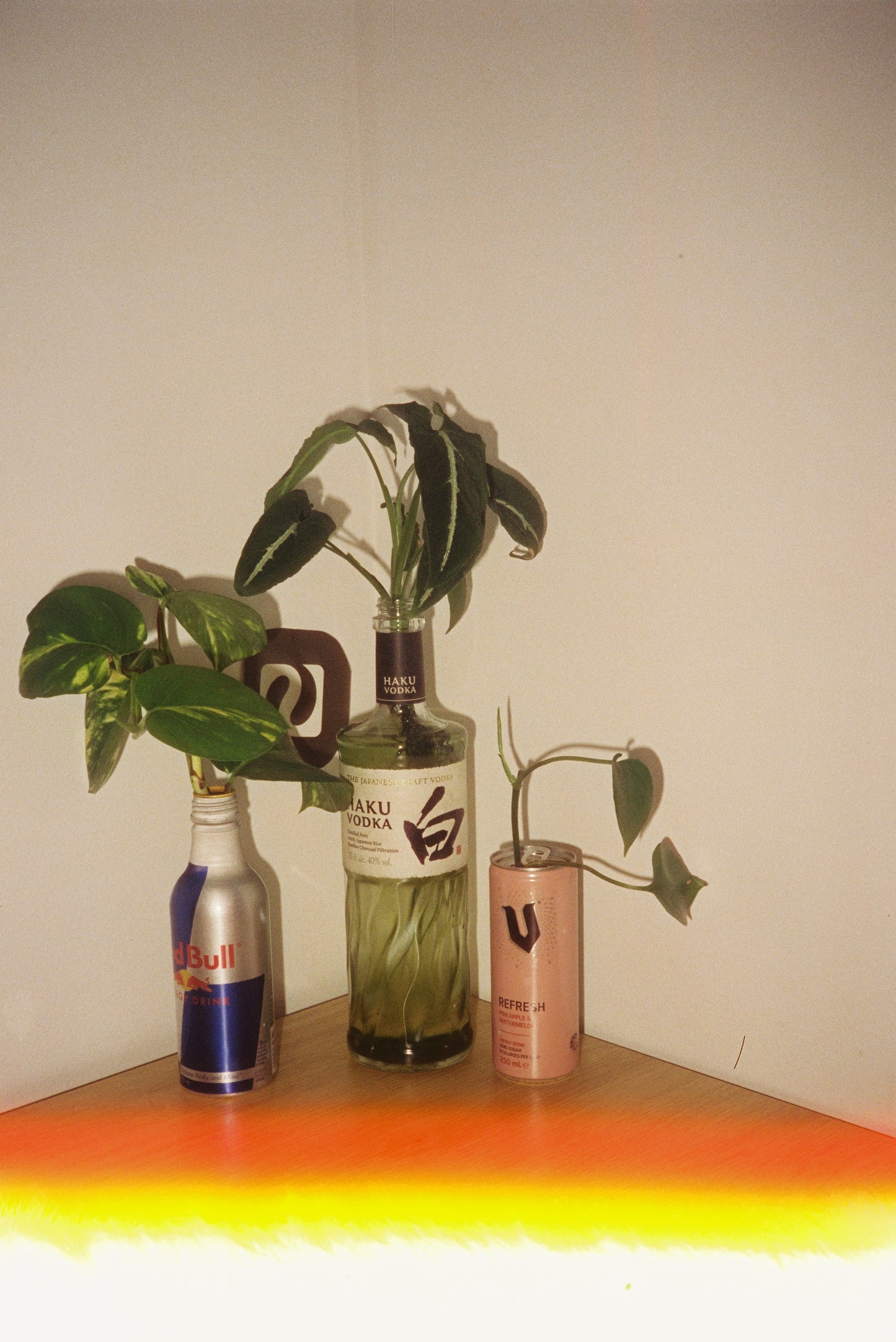 PREOWNED Canon AF35M Autoboy