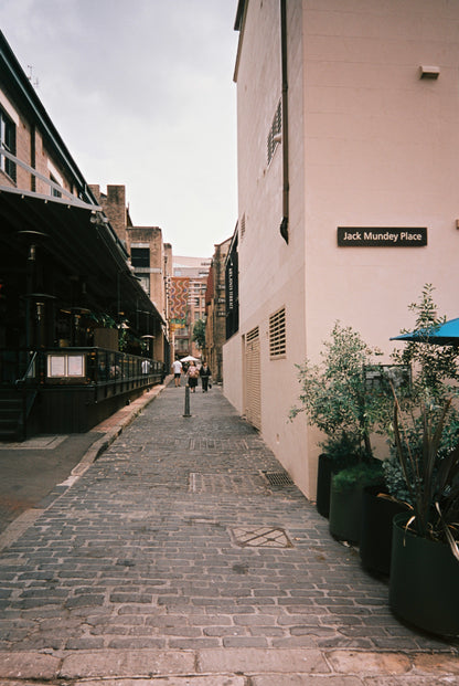 Mr Negative Secret Sauce